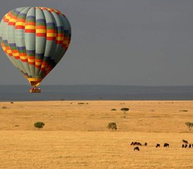 113 Tage Masai Mara mit einer Heißluftballon Safari - Photo 1