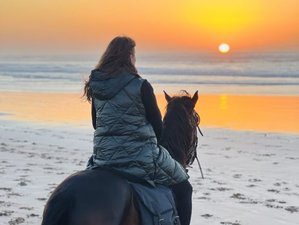 Tages-Sonnenuntergangs-Reiterlebnis in Essaouira, Marokko