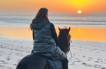 Niet-Residentiële Zonsondergang Paardrijervaring in Essaouira Marokko