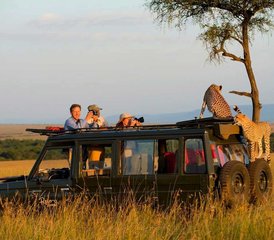 5 dagen De klassieke Tanzania safari-ervaring - Photo 2