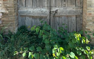 Spello Retreats und Reisen