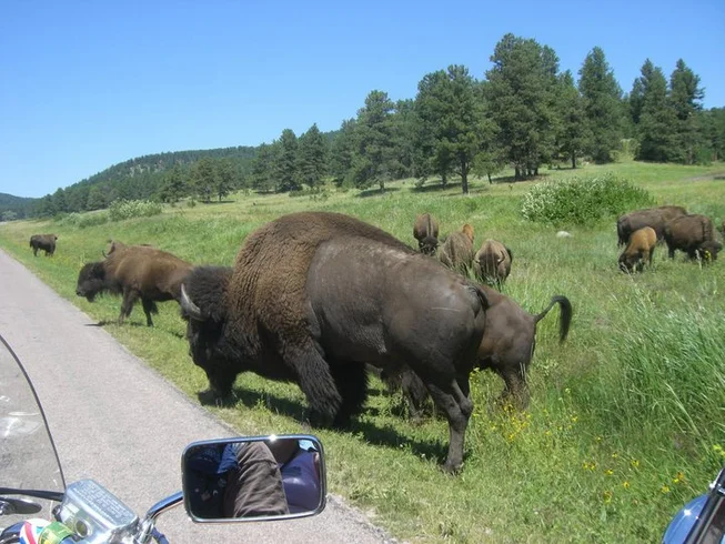 13 Day Fully-Guided Lynette's Wild Frontier Motorcycle Tour in USA via Yellowstone National Park photo 7