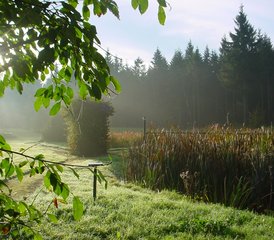 5 Tage Yoga, Natur und DU Urlaub im Östlichen Erzgebirge - Photo 5
