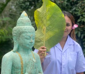 4 Day Wellness Spa, Meditation, and Yoga Retreat with Tour Package in Bali, Indonesia - Photo 3