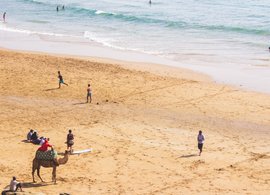 Agadir Retreats & Trips