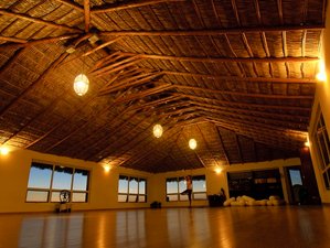 8 Day Holistic and Embodied Retreat for Women in Baja California Sur, Mexico, with Alison Rothman