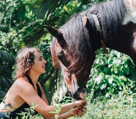 11-Daagse 100-urige Opleiding tot Docent Paardenyogatherapie in Puerto Viejo de Talamanca, Costa Rica - Photo 2
