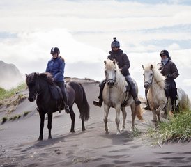 5 Day Trail of Hope (Summer) Horseback Riding Holiday in Vatnsdalur, Iceland - Photo 4