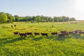Günstig Retreats und Reisen