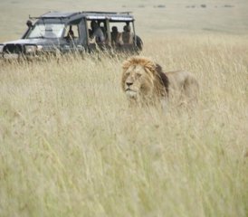 9 jours en stage d’incroyable circuit au Kenya et en Tanzanie - expérience de safari partagé - Photo 3