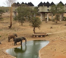2 Tage Beeindruckende Tsavo Ost- und Taita Hills Safari in Kenia ab Mombasa - Photo 2