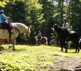3 Day Algonquin by Horseback: Trail Riding through Algonquin Park in Ontario, Canada - Photo 4