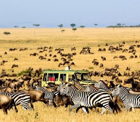 6-Daagse Luxe Safari in Masai Mara, Nakuru en Amboseli, Kenia - Photo 3