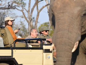 4 Day Greater Kruger Unplugged: Balule Reserve Open-vehicle Safari and Guided Walk in South Africa