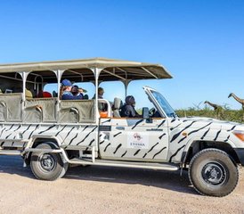 3 Days Big Safari - Serengeti and Ngorongoro Crater in Tanzania - Photo 2