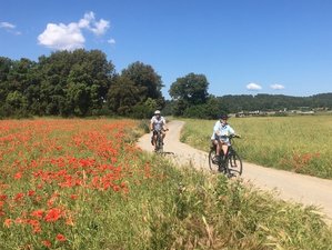 8 Day Food, Wine, and Bike Tour 6 Stages in Spain