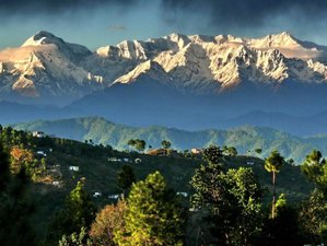 7 Day Yoga, Ayurveda Spiritual Healing in Kasar Devi, Uttarakhand