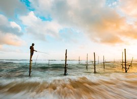 Kalutara Retreats & Trips