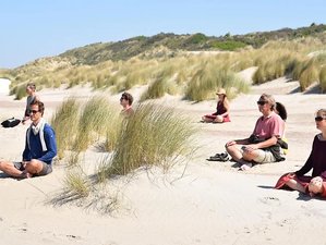 5-Daagse Stress Reductie, Yin Yoga en Adem Midweek Retraite in Noordgouwe, Zeeland