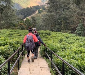 7 Day Ghorepani Poonhill Yoga Trek in Nepal - Photo 5