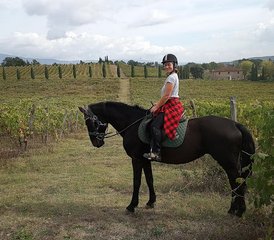 8-Daagse Ontdek Valdarno Ruitervakantie in Toscane, Italië - Photo 2