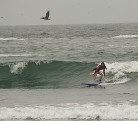 7 días de paquete de surf para principiantes todo incluido en Punta Hermosa, Perú - Photo 5
