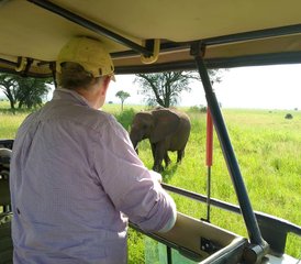 75 jours en stage de safari de luxe dans le parc national du Serengeti et le cratère du Ngorongoro, Tanzanie - Photo 1