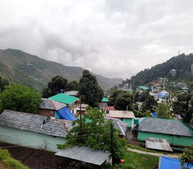 28 Tage 300-Stunden Multi-Style Yogalehrer Ausbildung in Dharamshala, Indien - Photo 5