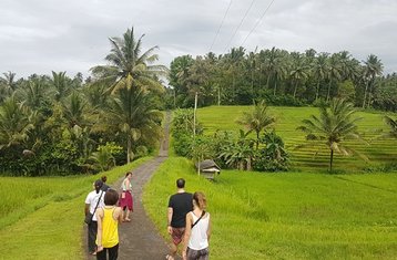 3 Tage Reisterrassen Wandern, Yoga, Meditation und Kultur Retreat auf Bali, Indonesien 