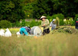 Tra Vinh Retraites et Voyages