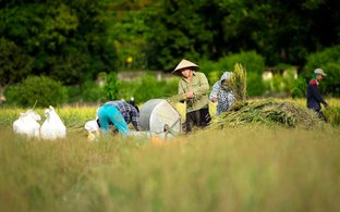 Tra Vinh Retraites en Reizen