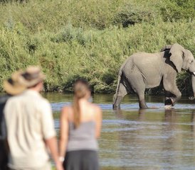 86 jours en stage de safari à Udzungwa, Ruaha et au parc national de Mikumi depuis Dar es Salaam, Tanzanie - Photo 1