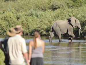 6 Day Safari in Udzungwa, Ruaha, and Mikumi National Park in Tanzania