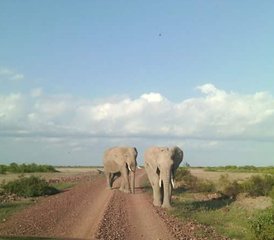 7-Daagse Beste van Kenia Budget Safari - Photo 3
