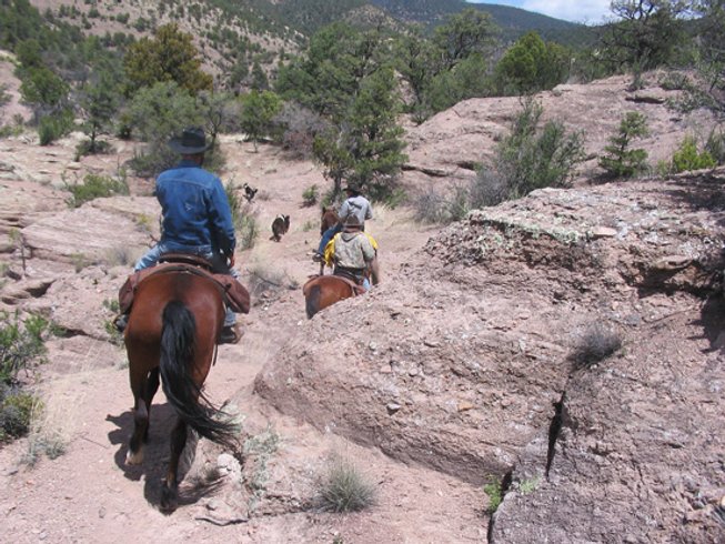 5 Day Blue Wilderness Pack Trips: Horse Riding Holiday in Arizona, USA ...