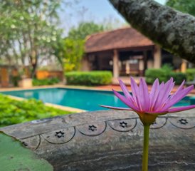 4 Day Spiritual Yoga Retreat in Chiang Mai, Thailand - Photo 4