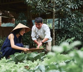 3 jours en stage de bien-être avec yoga et méditation en baie d’Halong et baie de Lan Ha, Vietnam - Photo 3