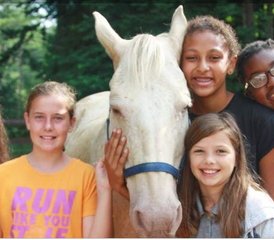 6 jours de séjour équestre Rookie Week, camp d’été pour filles de 5 à 11 ans à Newbury, Vermont, États‑Unis - Photo 4