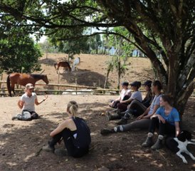 28 Days Certification Program - Equine Care Specialist in Cartago, Costa Rica - Photo 2