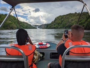 3 Day Murchison Falls National Park Safari in Uganda with Tracking at Ziwa Rhino Sanctuary