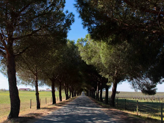5 Days Incredible South Portugal Guided Motorcycle Tour photo 5