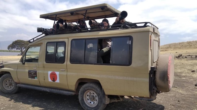 10 Day Safari With Chance to See Tanzania's Wildebeest Migration: Ndutu, Serengeti, and Ngorongoro