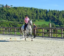 54 Day Long Weekend With Jumping and Flatwork Training Horse Riding Holiday in Fermo, Italy - Photo 1