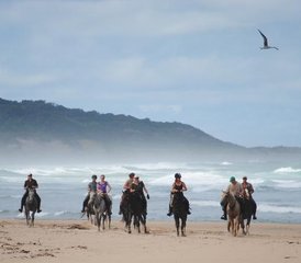 5 Day Mini Beach Trail - Wild Coast South Africa - Photo 3
