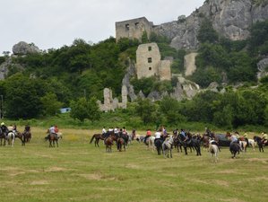 5 Day "Trail Tales: Every Ride a New Story" - Horse Riding Holiday in Kalnik