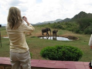 8 días de safari por el Masái Mara, Nakuru, Amboseli, Tsavo West y Tsavo East en Kenia