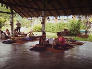 4 Day Wellness Retreat with Yoga, Meditation, and More in Ko Pha Ngan, Surat Thani