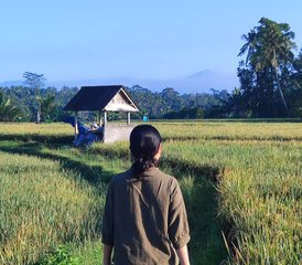 5 días de viaje del alma - experiencia privada de sanación en Ubud, Bali, Indonesia - Photo 3