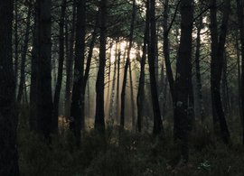 Landes Retreats & Trips