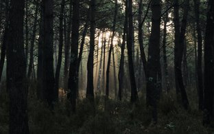 Landes Retiros y Viajes